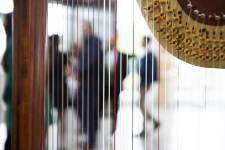 Paul PINTARD - PINTARD PHOTOGRAPHIE